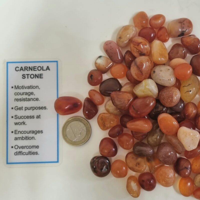 RODADO DE CARNEOLA 3