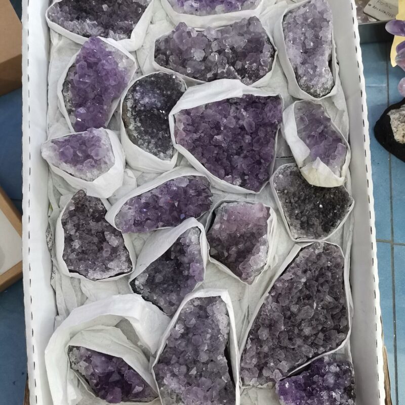 DRUSA AMATISTA CAJA DE 20