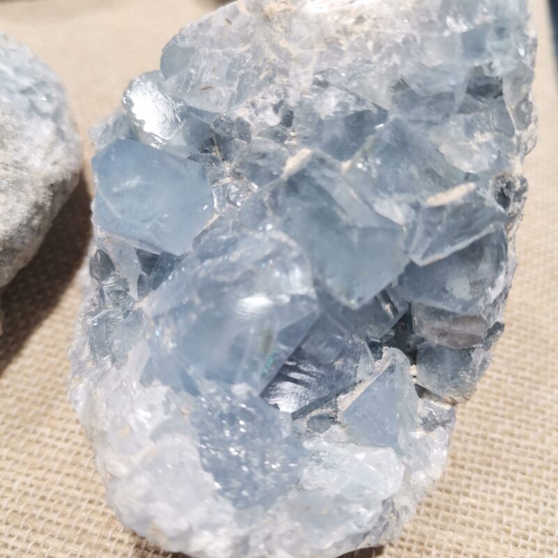 DRUSA CELESTINA 476 GRAMOS