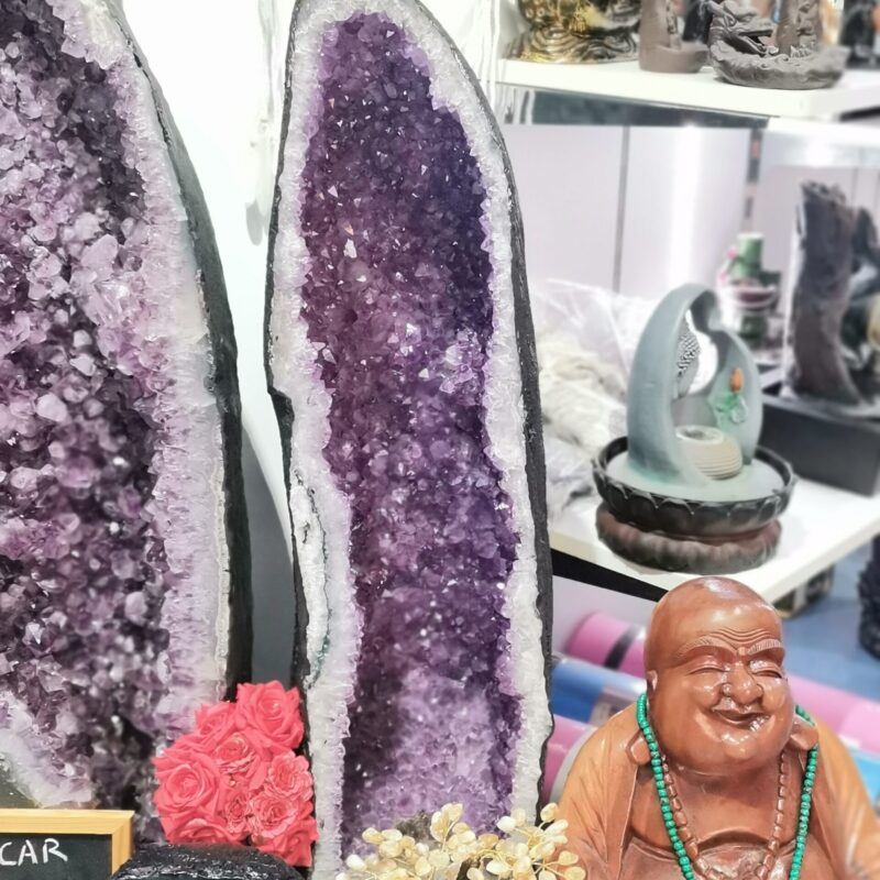 GEODA AMATISTA 59 KILOS