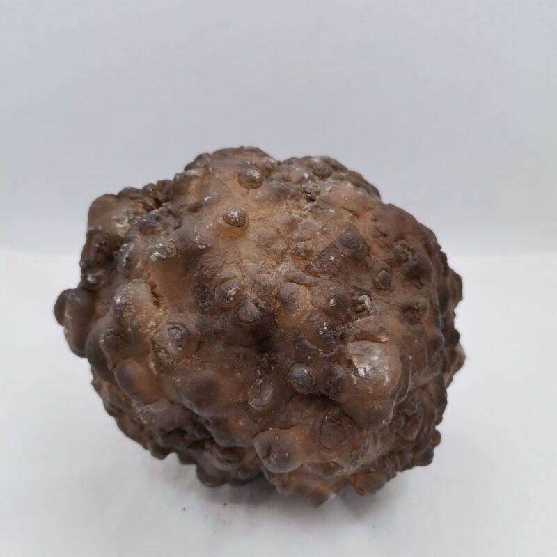 GEODA CALCEDONIA COMPLETA