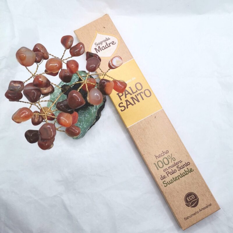 SAGRADA MADRE PALO SANTO