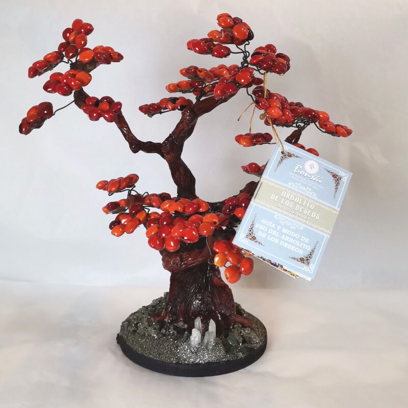 ARBOL BONSAI HUAYRURO BUENA SUERTE