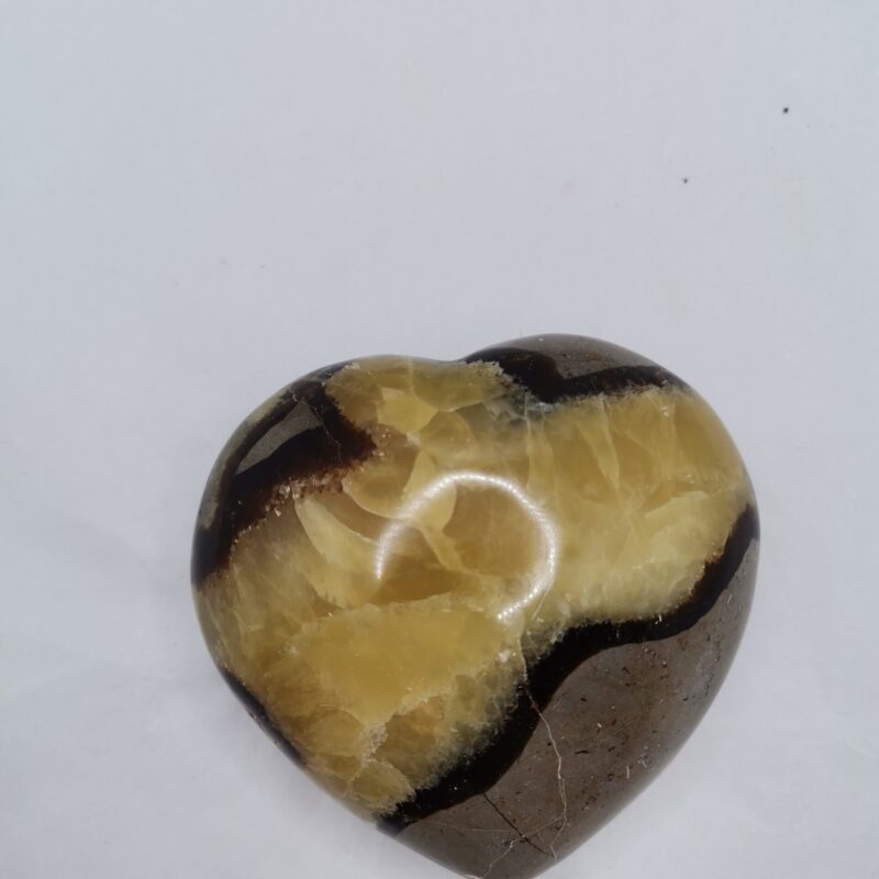 CORAZON DE SEPTARIA 309 286 GRAMOS