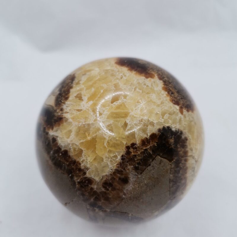 ESFERA SEPTARIA 528 GRAMOS