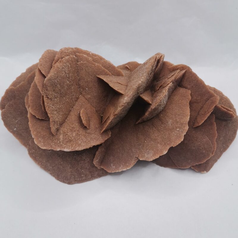 ROSA DEL DESIERTO 995 GRAMOS