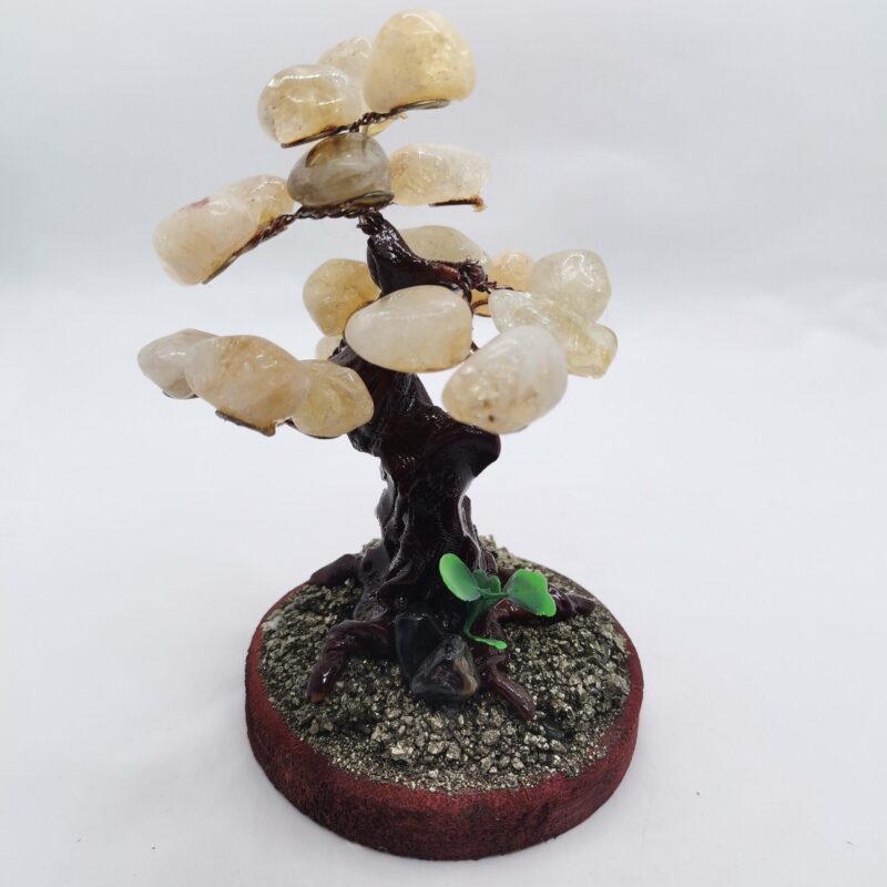 ARBOL BONSAI PIRITA Y CITRINO 45