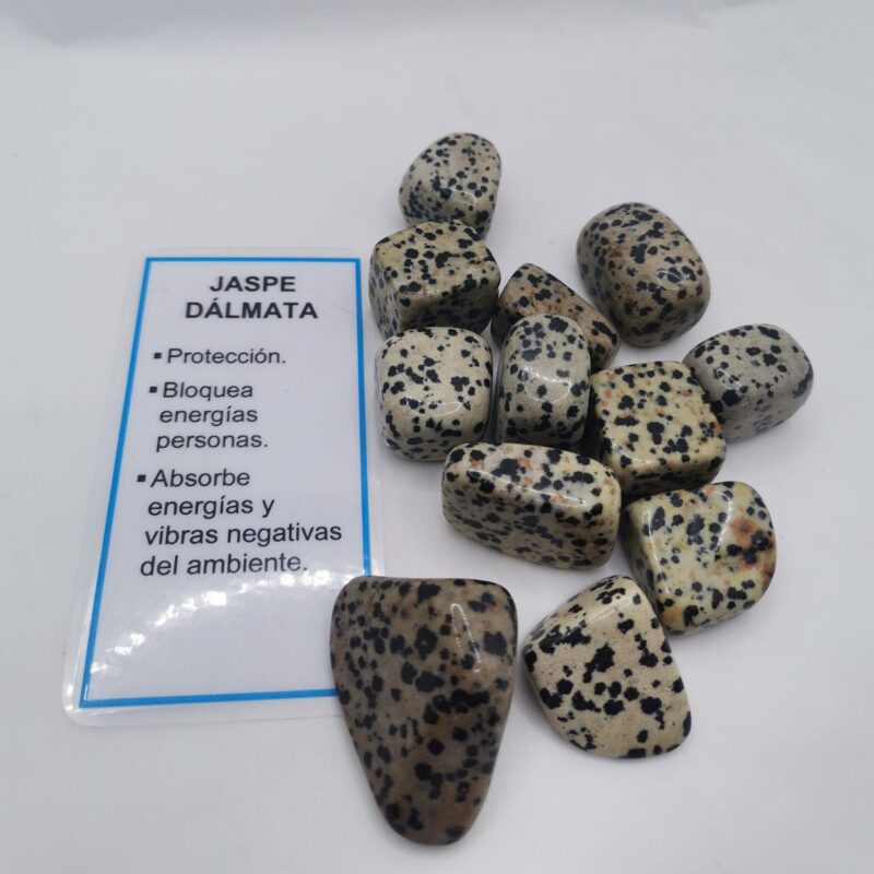 RODADO JASPE DALMATA 4