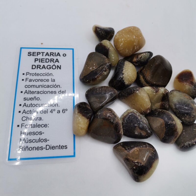 RODADO DE SEPTARIA 3