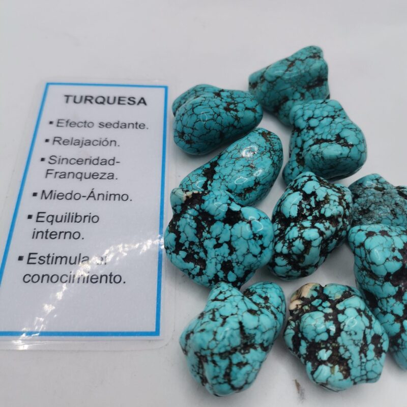 RODADO TURQUESA 4