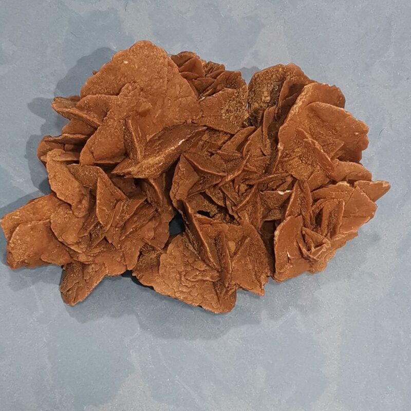 ROSA DEL DESIERTO 3502 GRAMOS