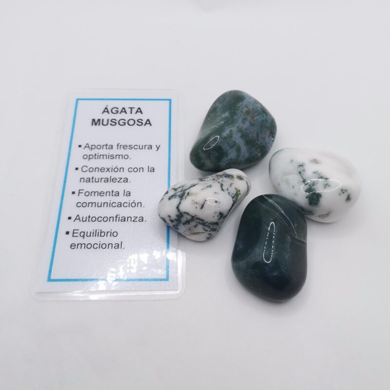 RODADO AGATA MUSGOSA 5