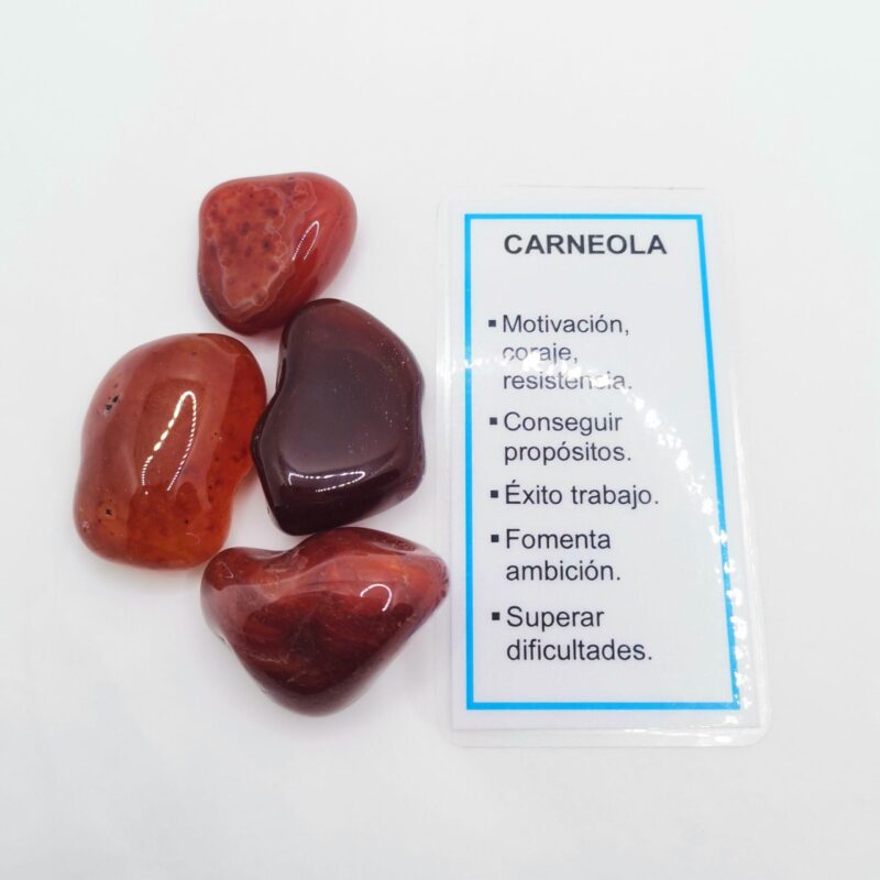 RODADO CARNEOLA 5