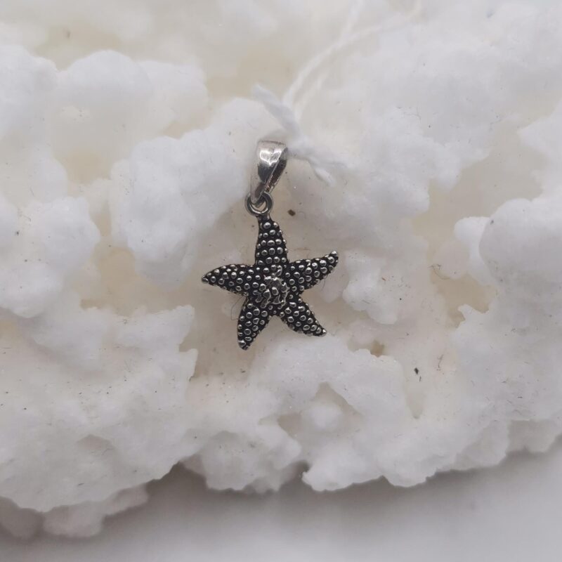 COLGANTE ESTRELLA DE MAR PLATA