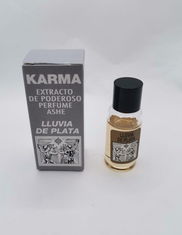 PERFUME ASHE LLUVIA DE PLATA