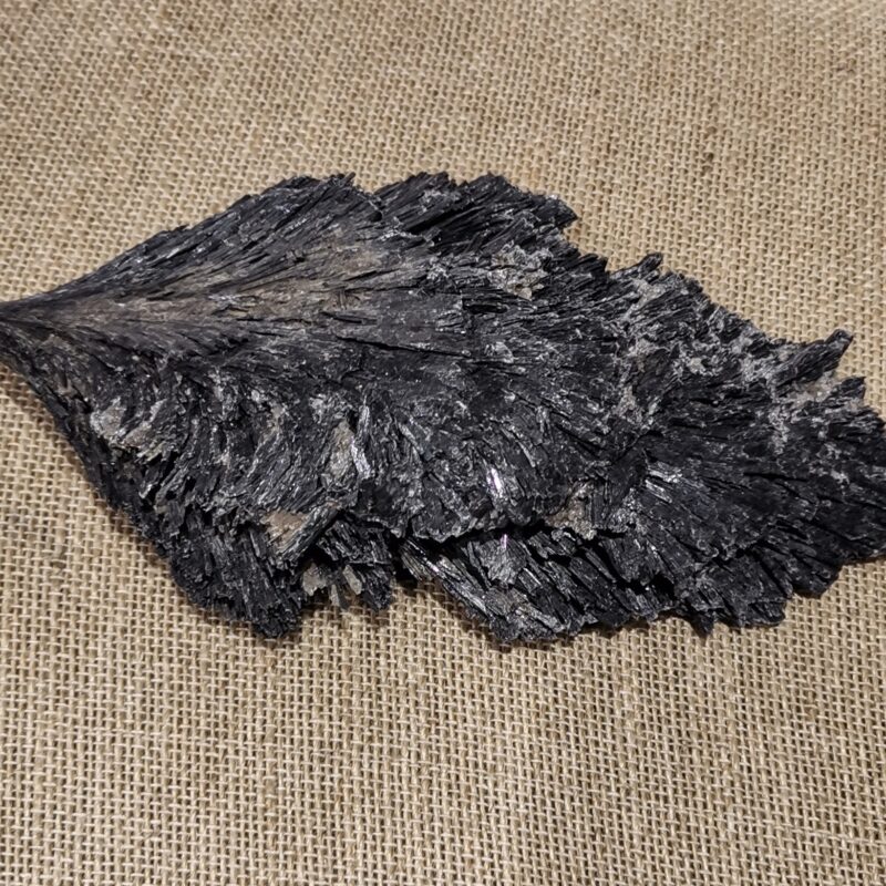 CIANITA NEGRA 349 GRAMOS